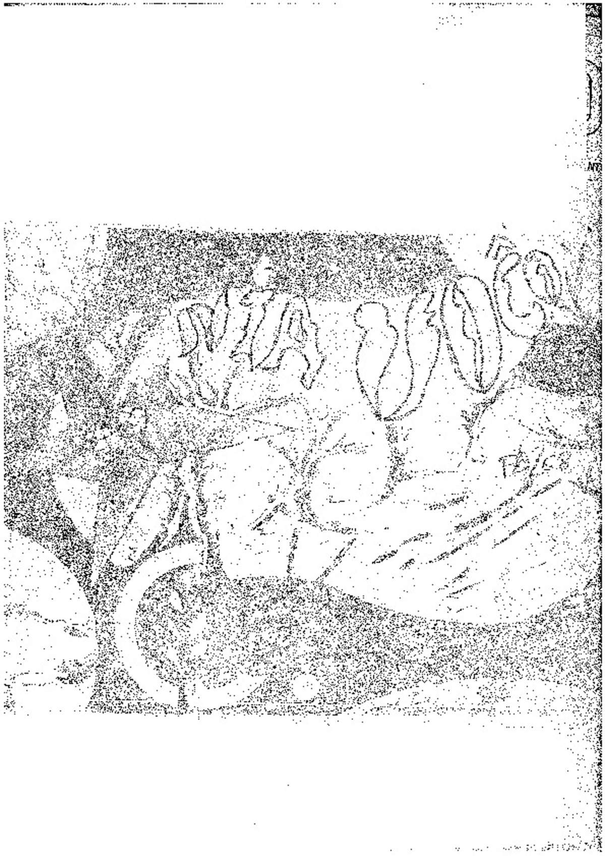 Bildeto