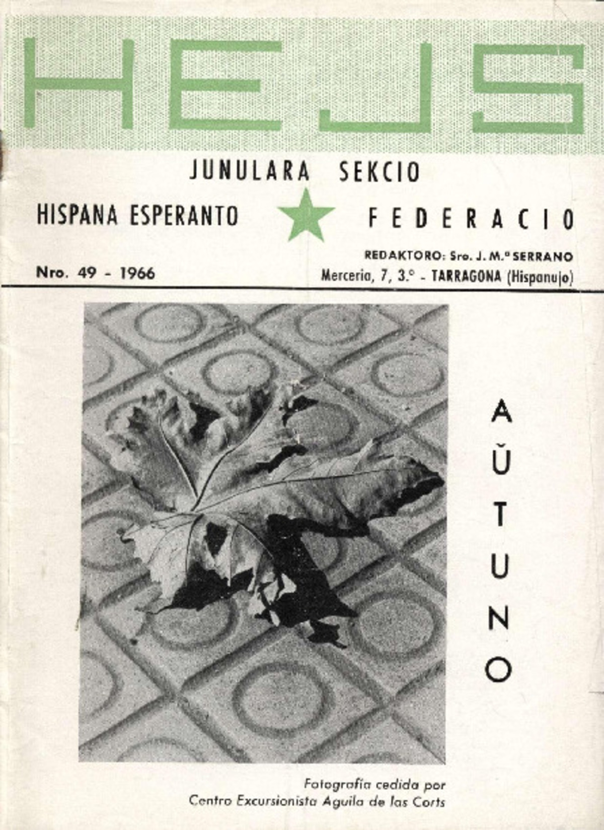 Bildeto