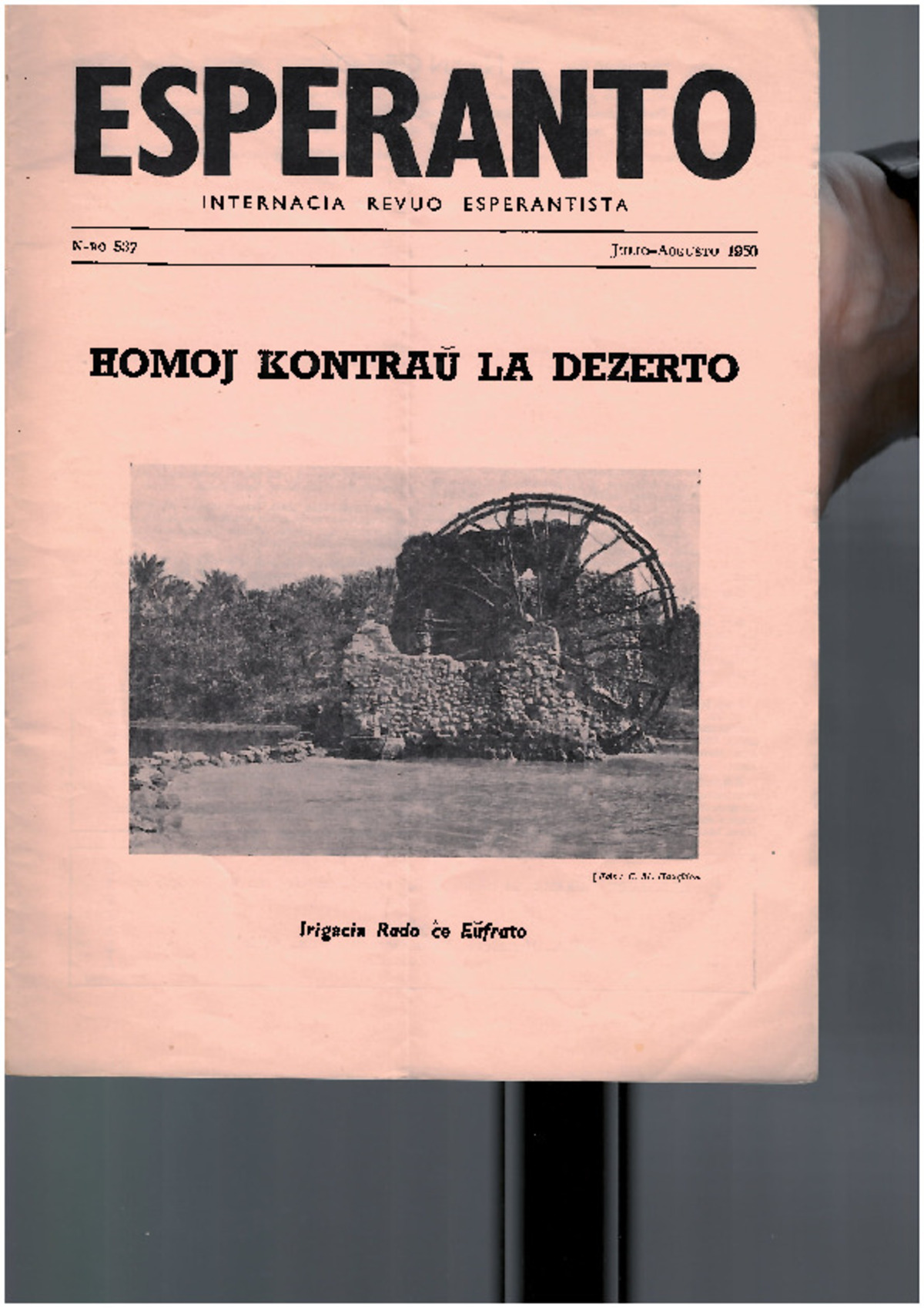 Bildeto